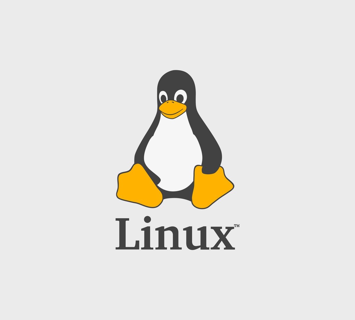 Formatação Linux